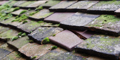 Asheridge roof repair costs